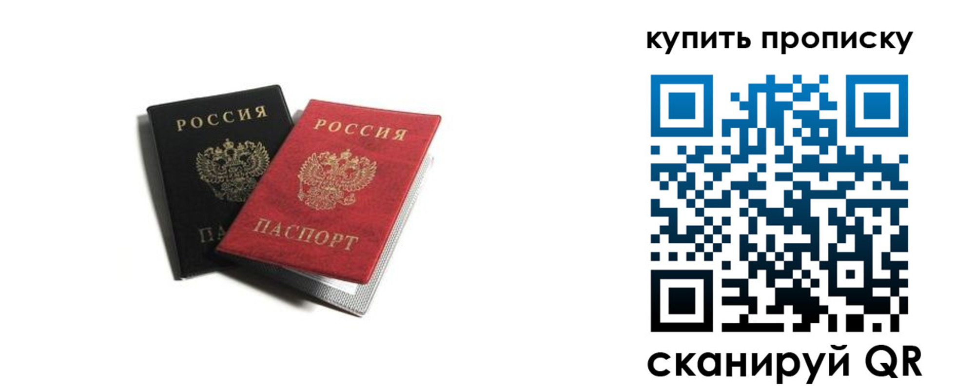 прописка штамп в Александровске